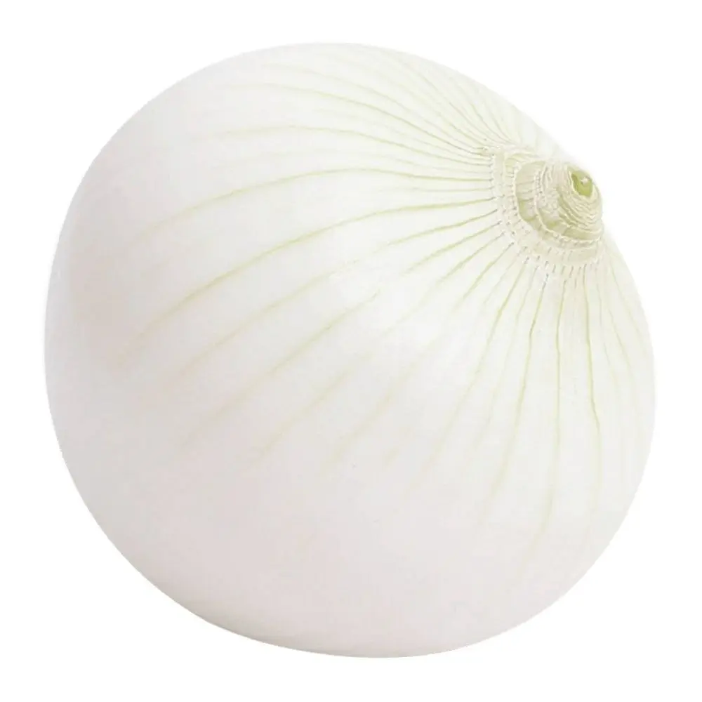 Cebolla Blanca Kg
