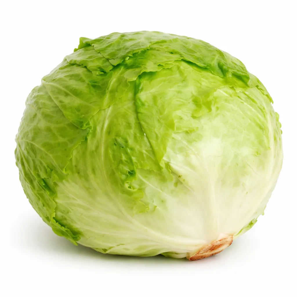 Lechuga Romana Pz