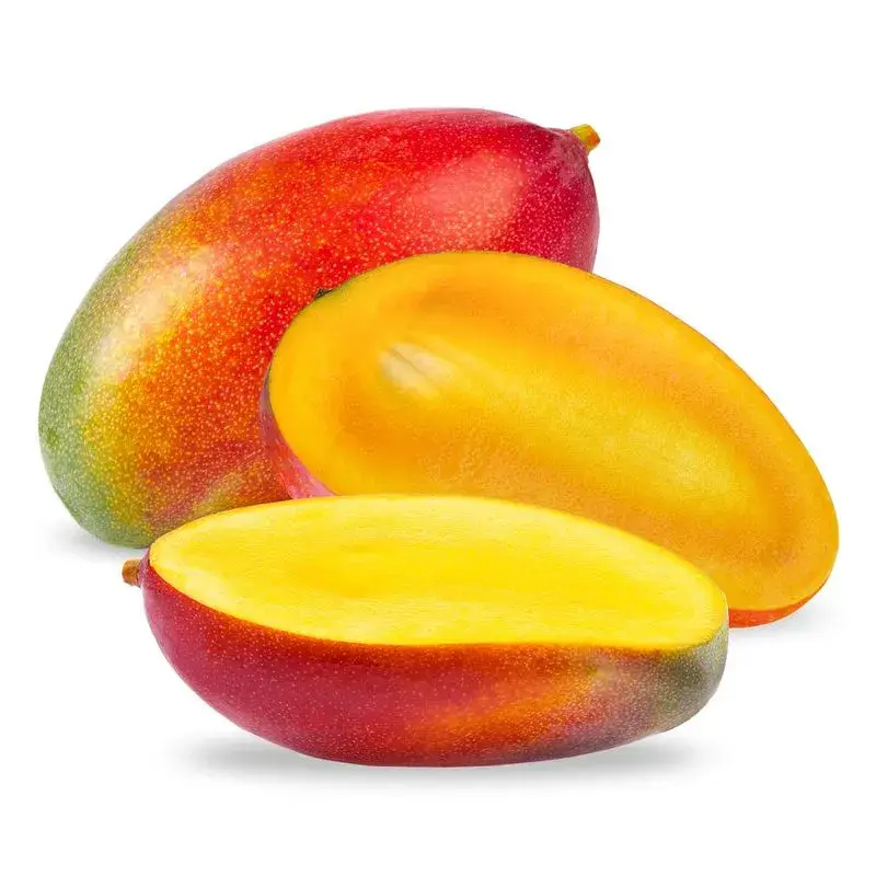 [504025] Mango Paraíso/Tommy Kg