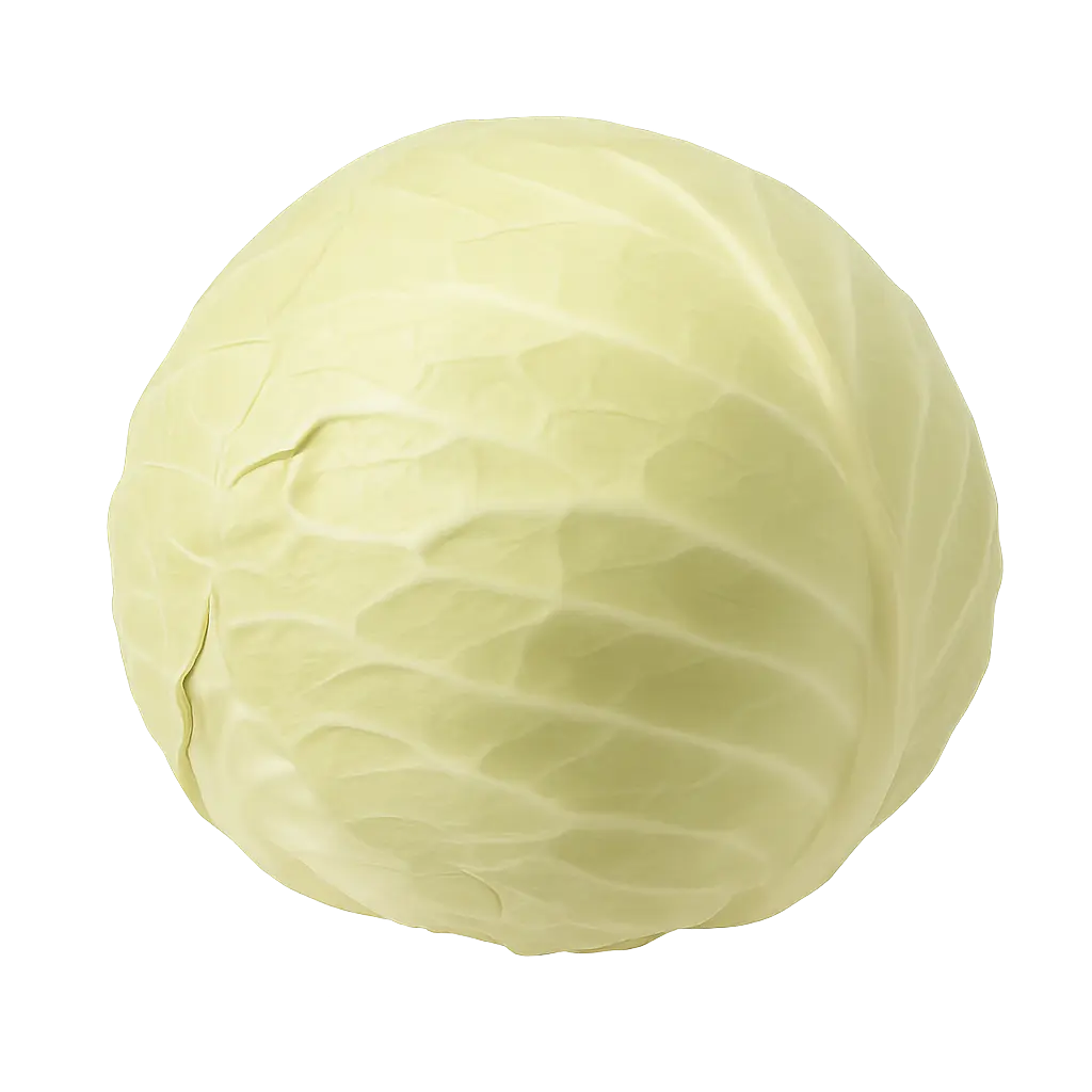 Repollo o Col Blanco Kg