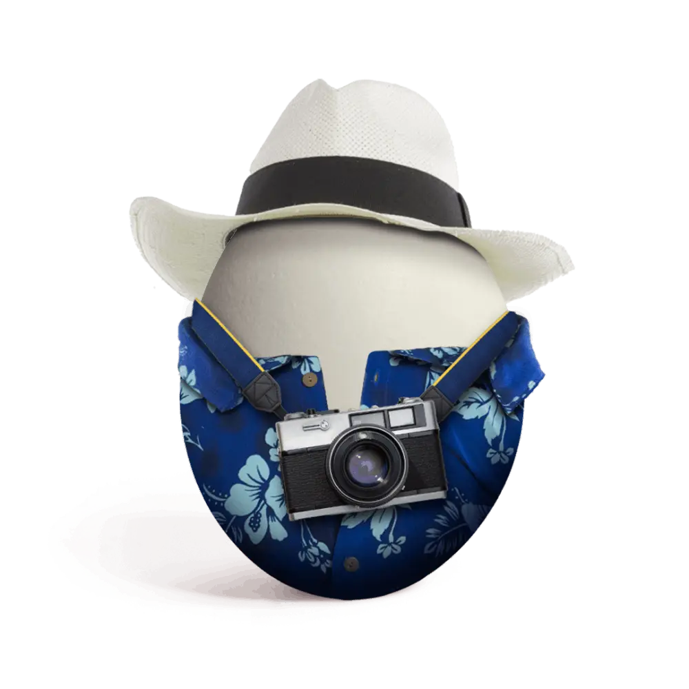 [501024] Huevo Bachoco