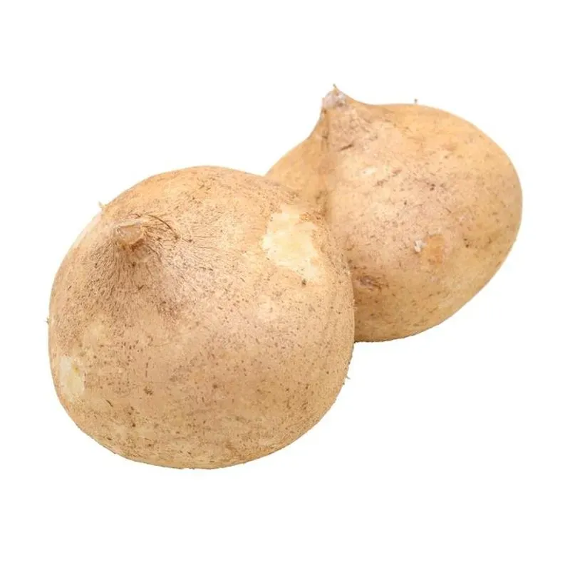 Jicama Kg