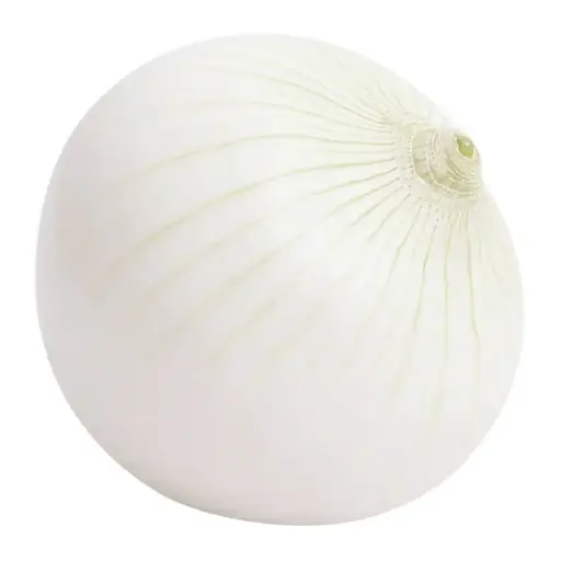 [504009] Cebolla Blanca Kg