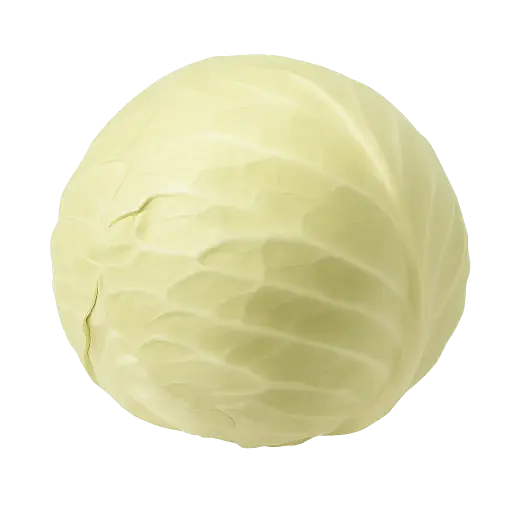 [504038] Repollo o Col Blanco Kg